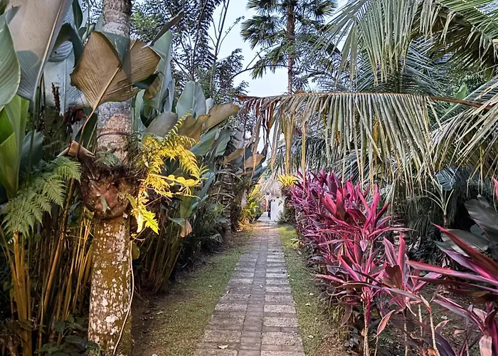 Guest house Amara Giri View