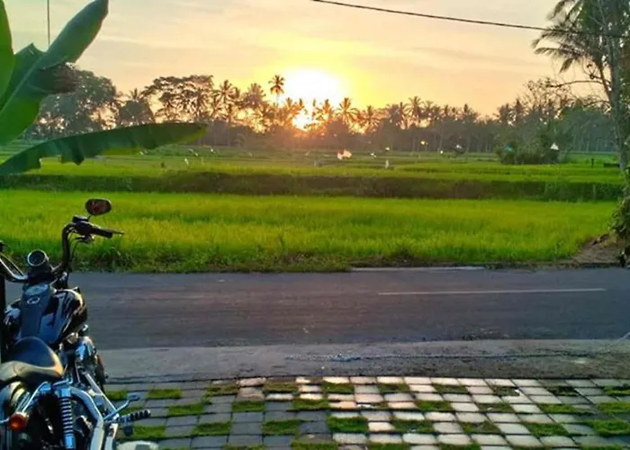 Guest house Amara Giri View